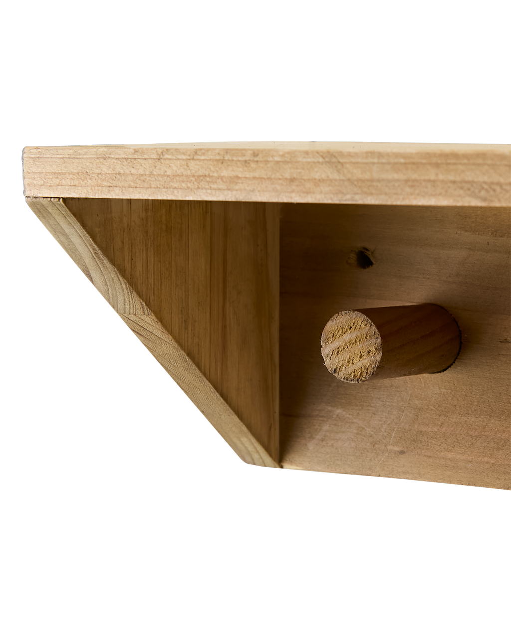 Hylla med knoppar