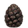 Kotte Brun
